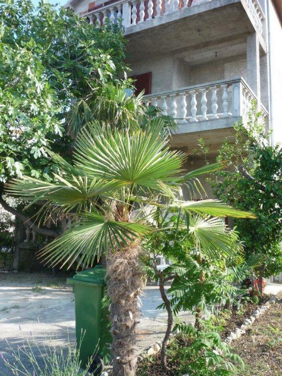 Sukošan Apartments Ane מראה חיצוני תמונה